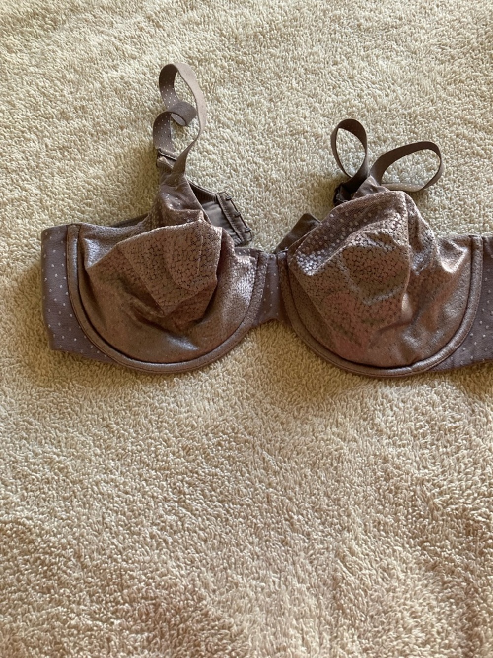 Wacoal Shimmery Lace Underwire Bra in Taupe Brown